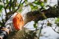 STIHL Podkrzesywarka akumulatorowa HTA 135 bez akumulatora i ładowarki