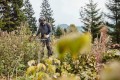 STIHL Kosa spalinowa FS 131