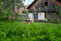 STIHL Kosiarka RM 650 V