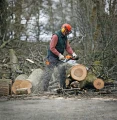 STIHL Pilarka spalinowa MS 271