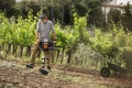 STIHL Świder glebowy BT 131