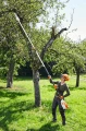 STIHL Podkrzesywarka akumulatorowa HTA 135 bez akumulatora i ładowarki